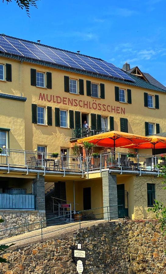 Das Muldenschloesschen - Gaestehaus & Restaurant Lunzenau Buitenkant foto