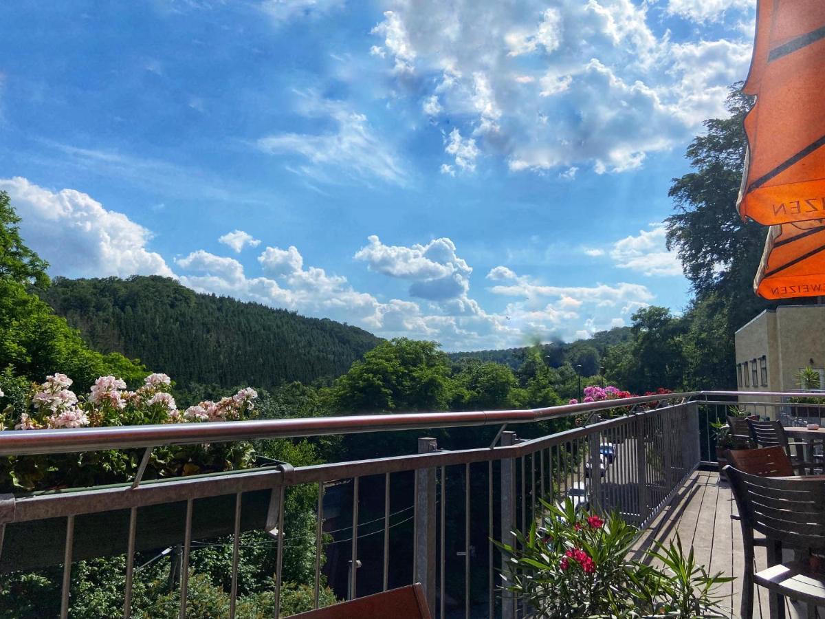 Das Muldenschloesschen - Gaestehaus & Restaurant Lunzenau Buitenkant foto